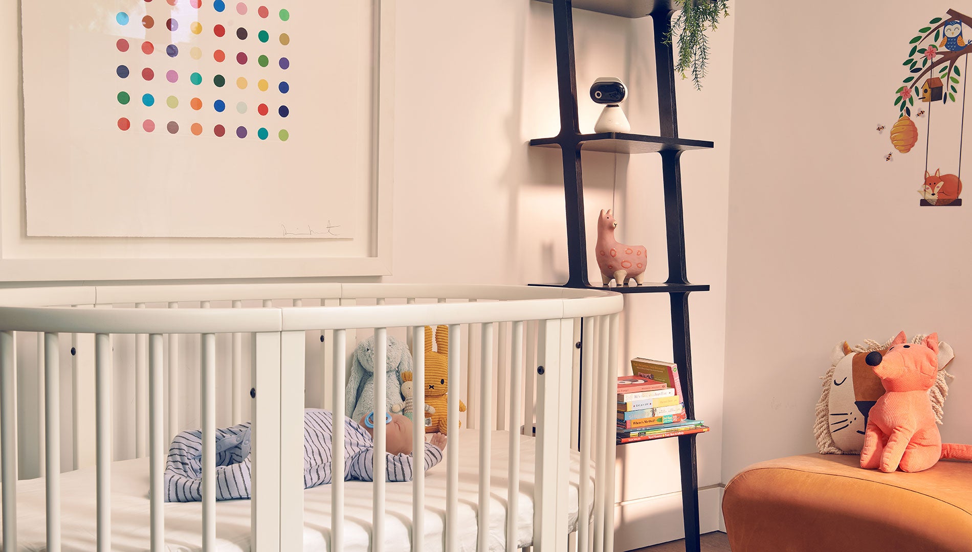 Motorola PIP1000 IP камера