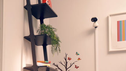 Motorola PIP1000 IP камера